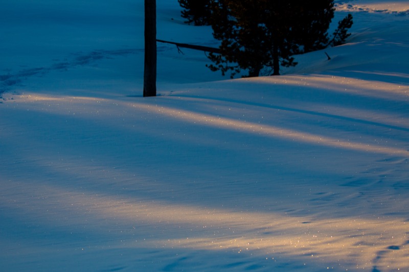 20150308-GC1A0312.jpg